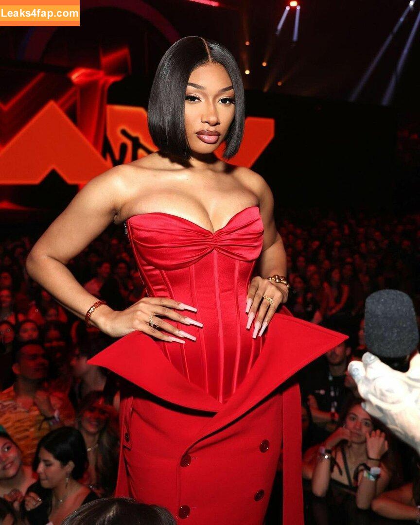 Megan thee stallion / megan_renee316 / theestallion leaked photo photo #0060