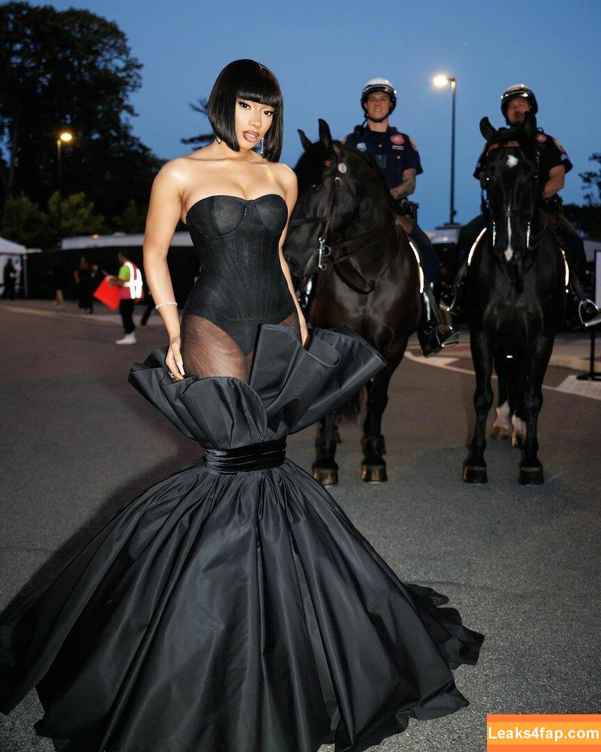 Megan thee stallion / megan_renee316 / theestallion leaked photo photo #0064