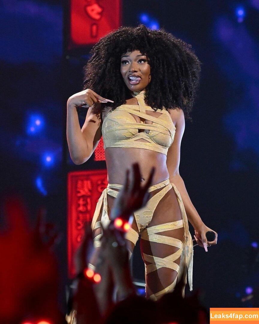 Megan thee stallion / megan_renee316 / theestallion leaked photo photo #0066