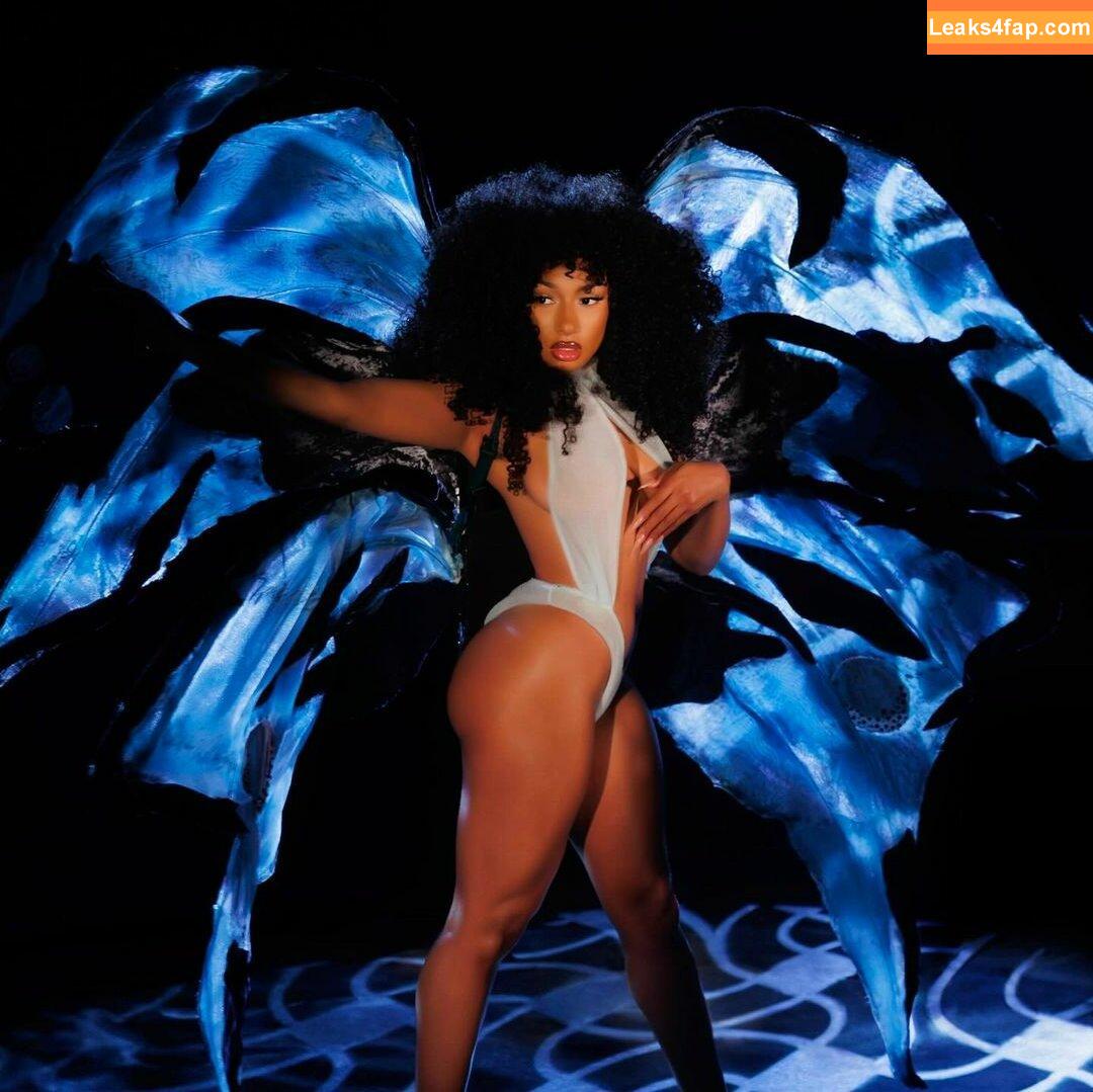 Megan thee stallion / megan_renee316 / theestallion leaked photo photo #0095