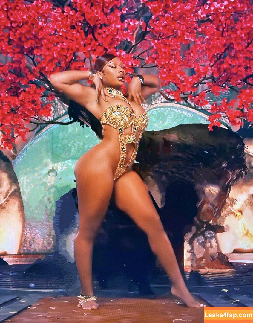 Megan thee stallion / megan_renee316 / theestallion leaked photo photo #0207