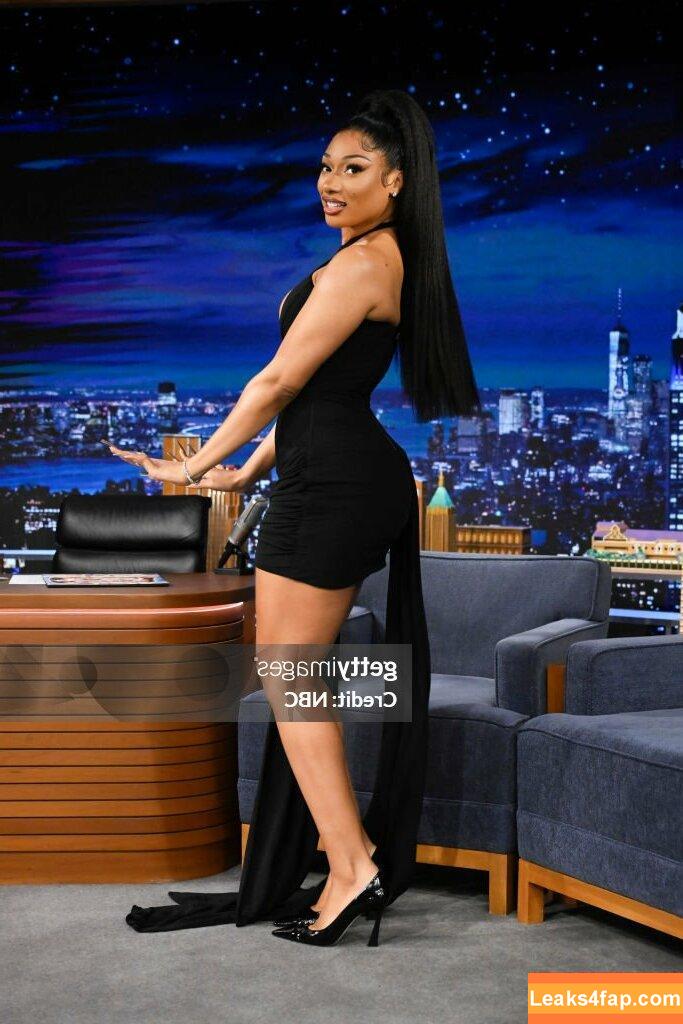 Megan thee stallion / megan_renee316 / theestallion leaked photo photo #0246