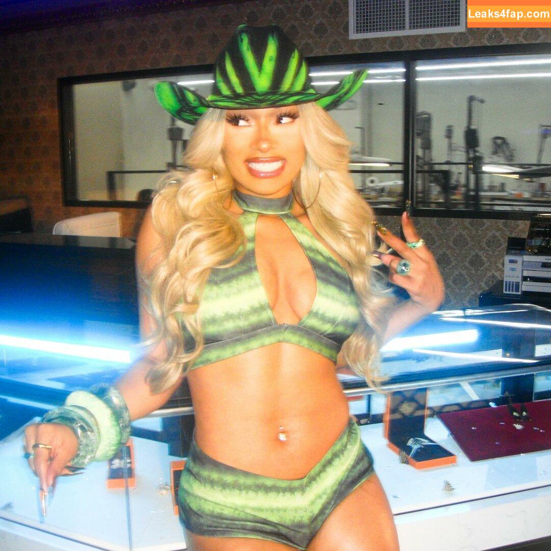 Megan thee stallion / megan_renee316 / theestallion слитое фото фото #0265