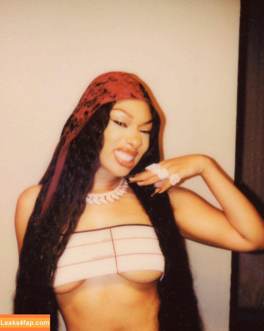 Megan thee stallion / megan_renee316 / theestallion leaked photo photo #0278