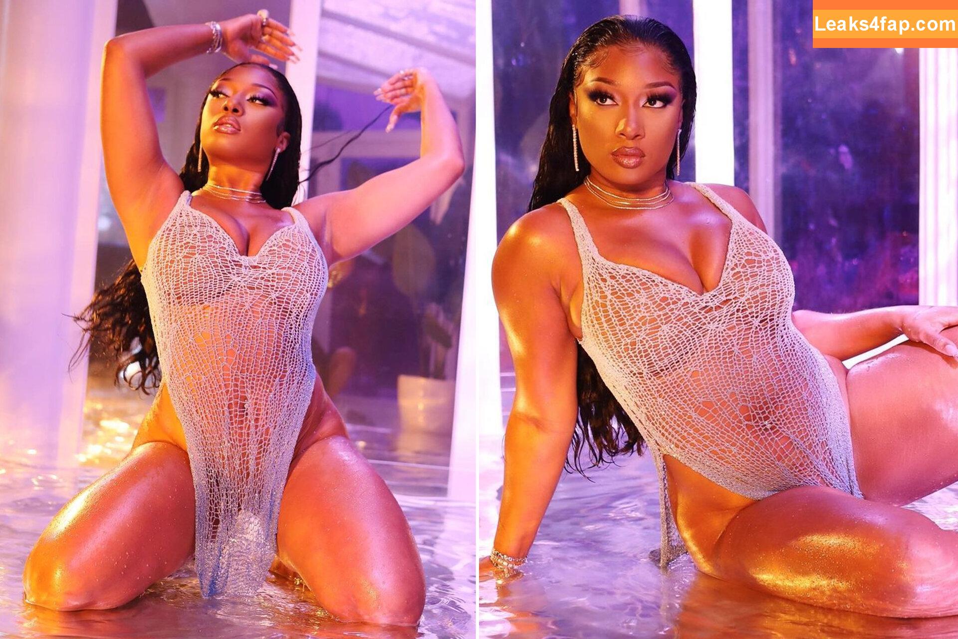 Megan thee stallion / megan_renee316 / theestallion слитое фото фото #0293