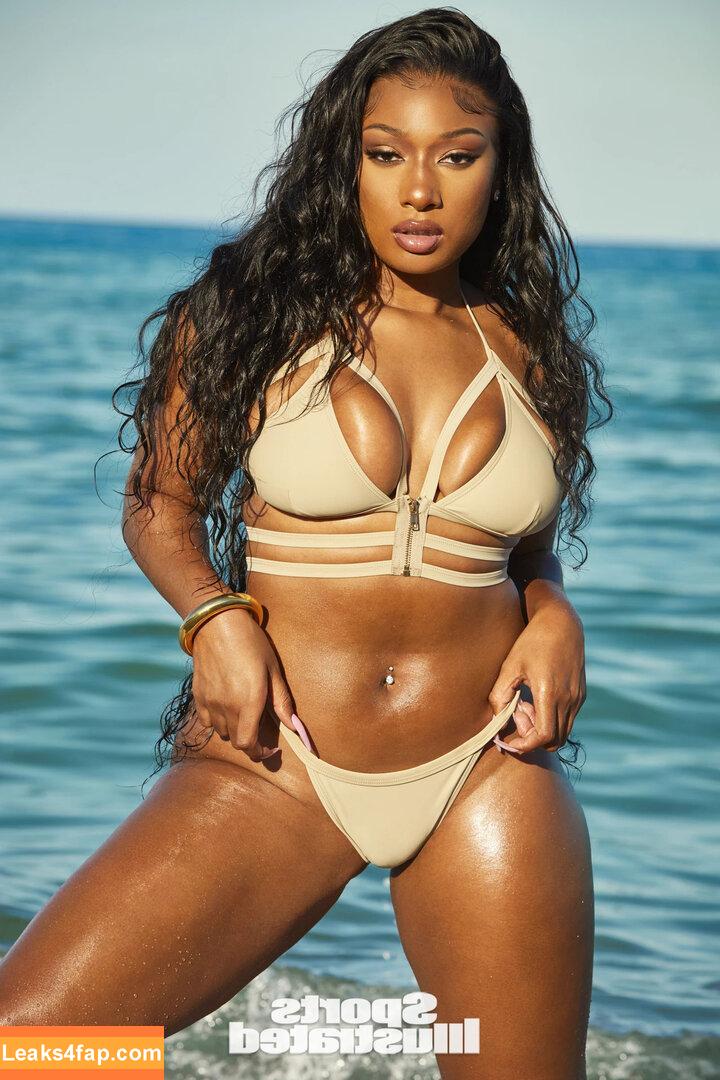 Megan thee stallion / megan_renee316 / theestallion leaked photo photo #0297