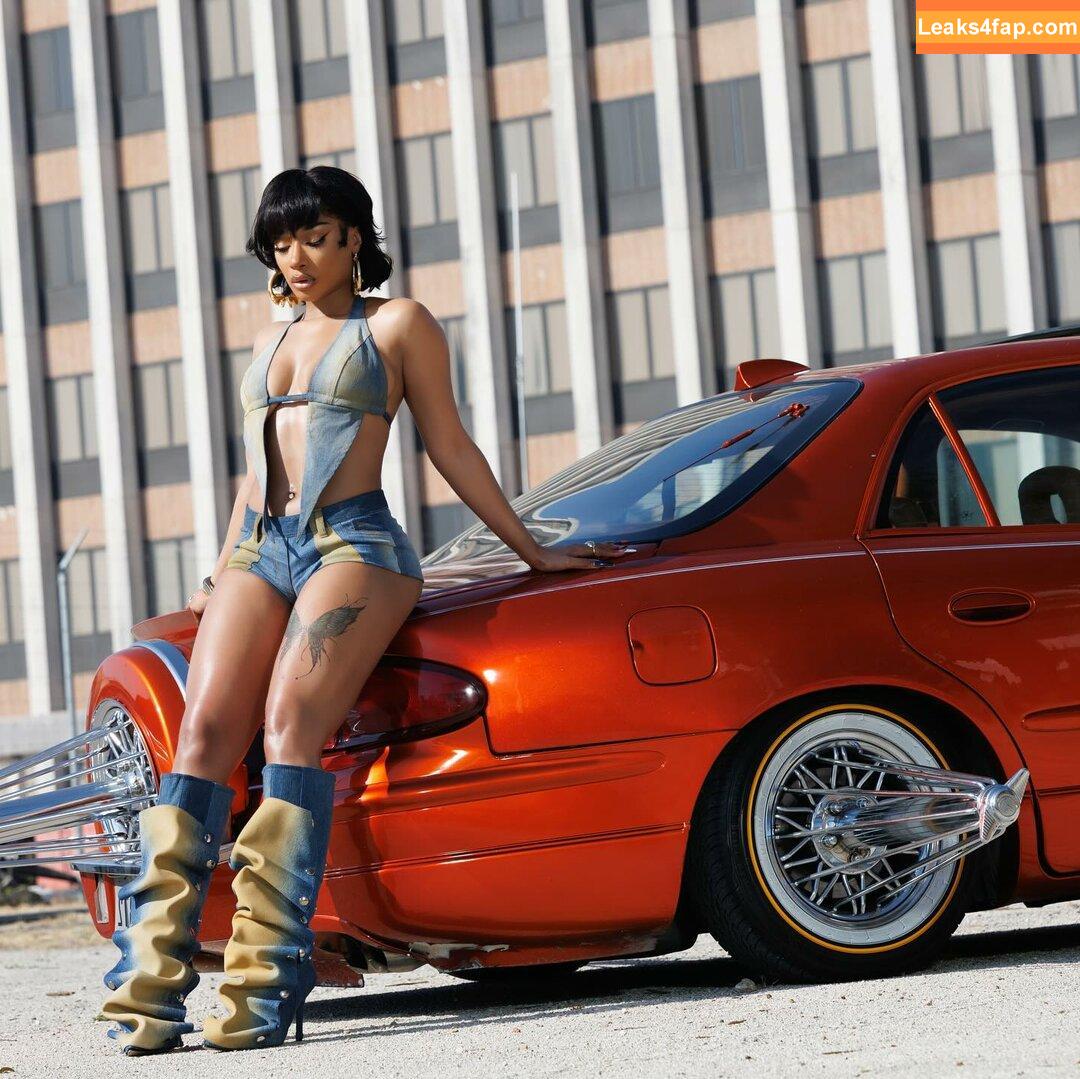 Megan thee stallion / megan_renee316 / theestallion leaked photo photo #0315