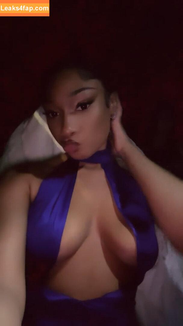 Megan thee stallion / megan_renee316 / theestallion leaked photo photo #0364