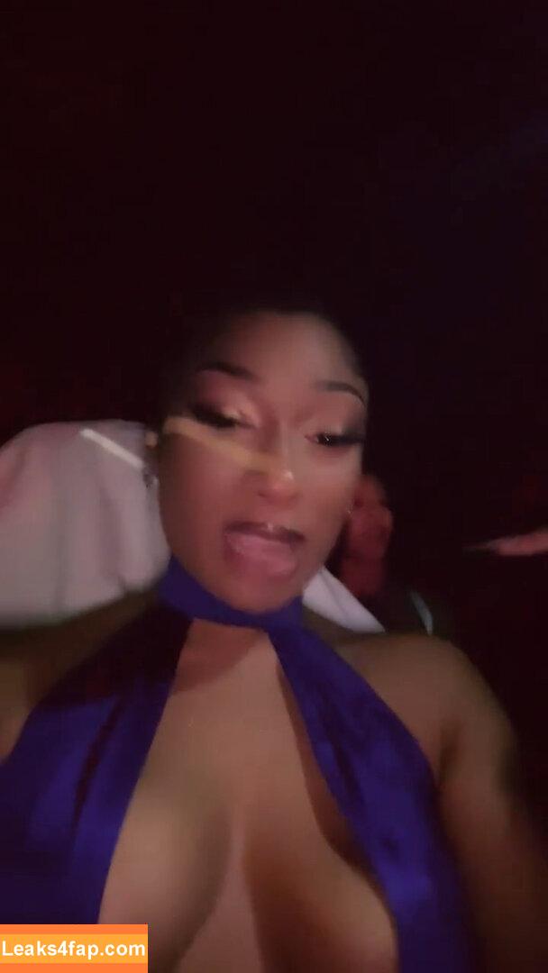 Megan thee stallion / megan_renee316 / theestallion leaked photo photo #0368
