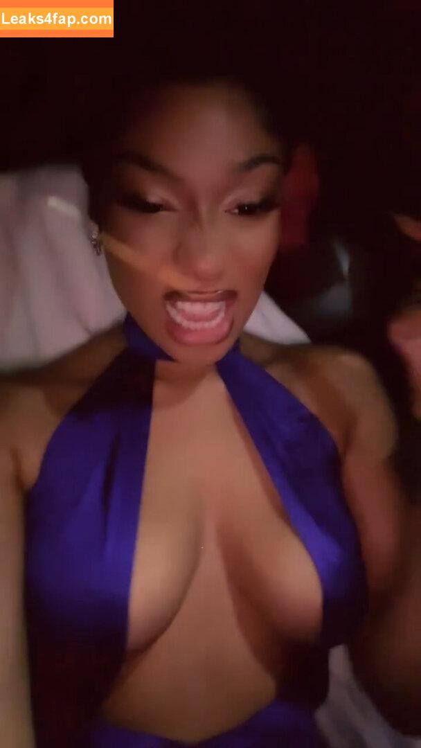 Megan thee stallion / megan_renee316 / theestallion leaked photo photo #0369