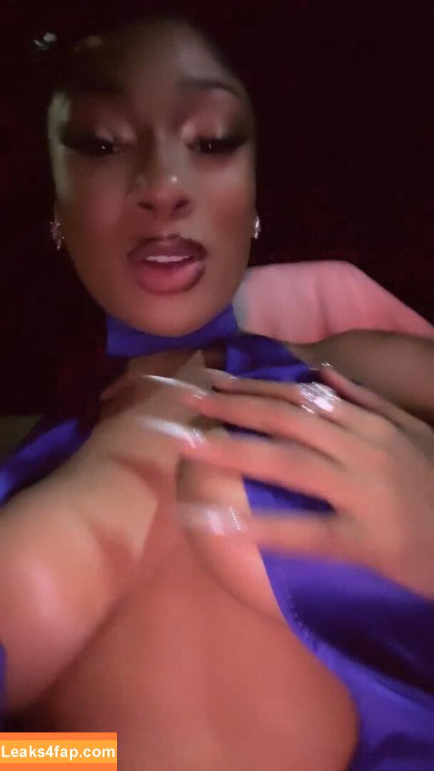 Megan thee stallion / megan_renee316 / theestallion leaked photo photo #0371
