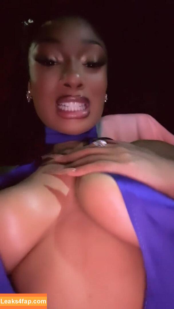 Megan thee stallion / megan_renee316 / theestallion leaked photo photo #0372