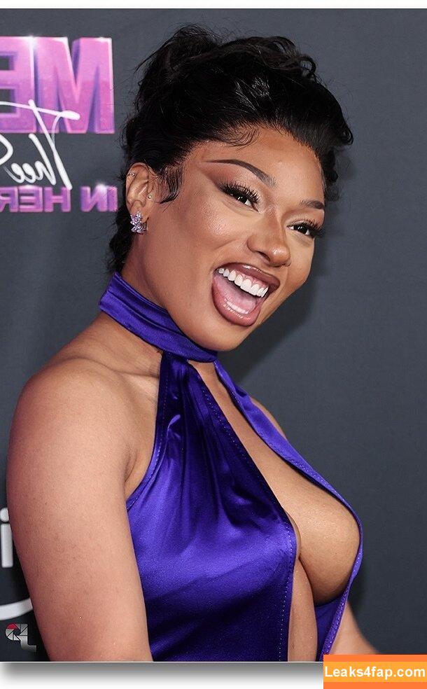 Megan thee stallion / megan_renee316 / theestallion leaked photo photo #0375