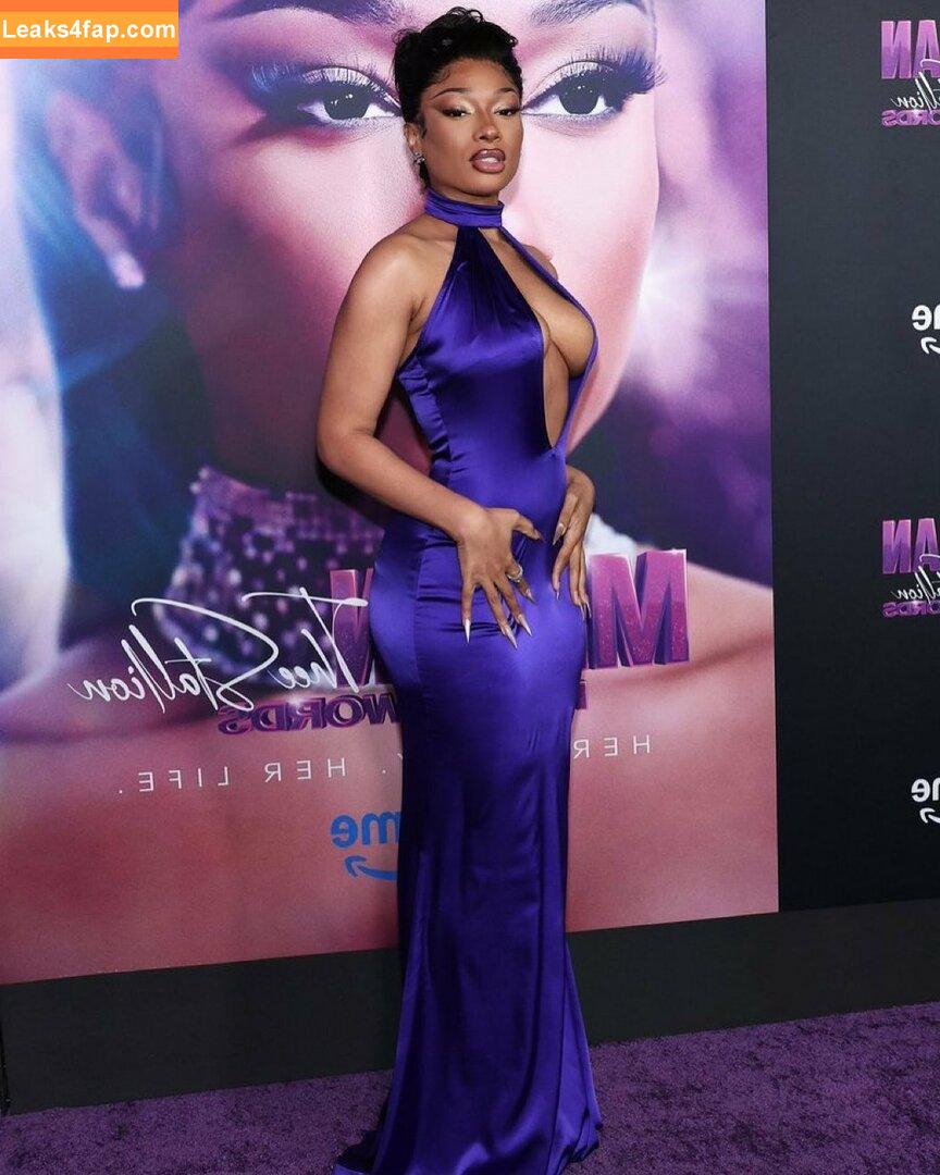 Megan thee stallion / megan_renee316 / theestallion leaked photo photo #0381