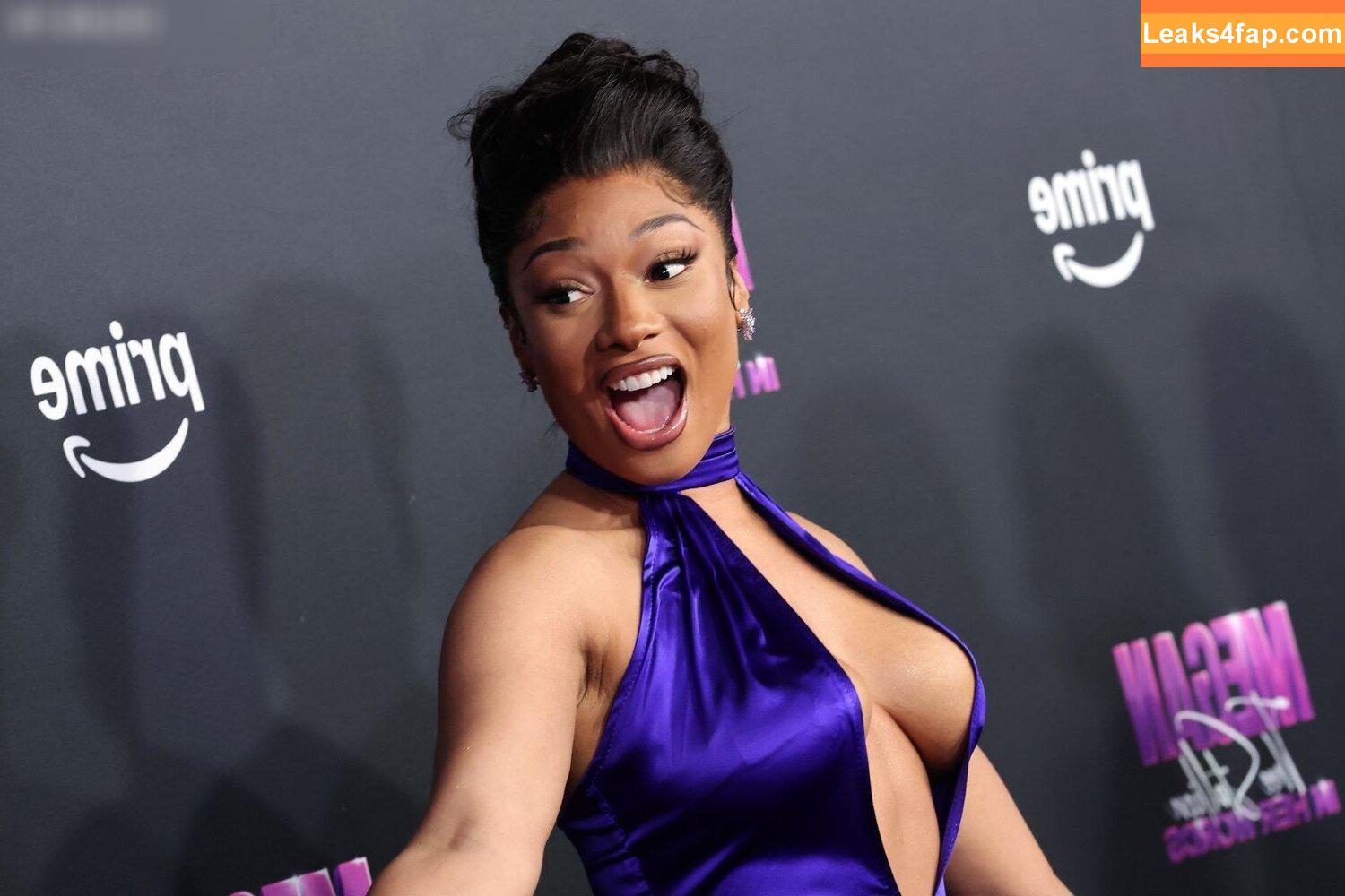 Megan thee stallion / megan_renee316 / theestallion leaked photo photo #0404