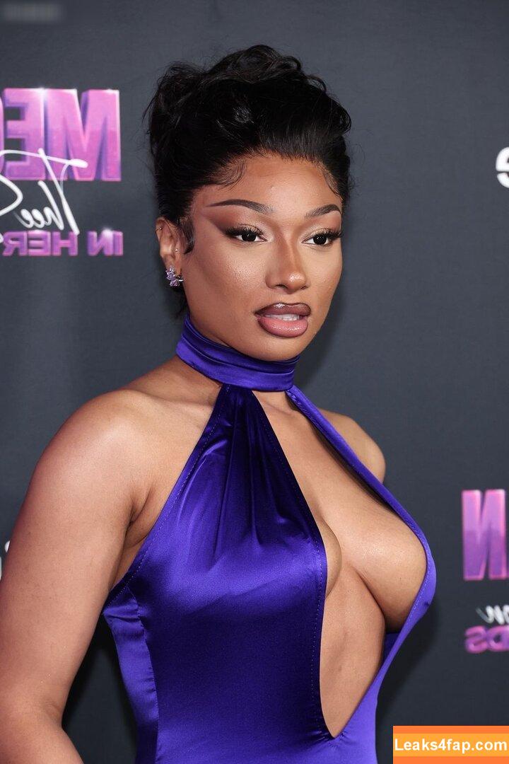 Megan thee stallion / megan_renee316 / theestallion leaked photo photo #0406