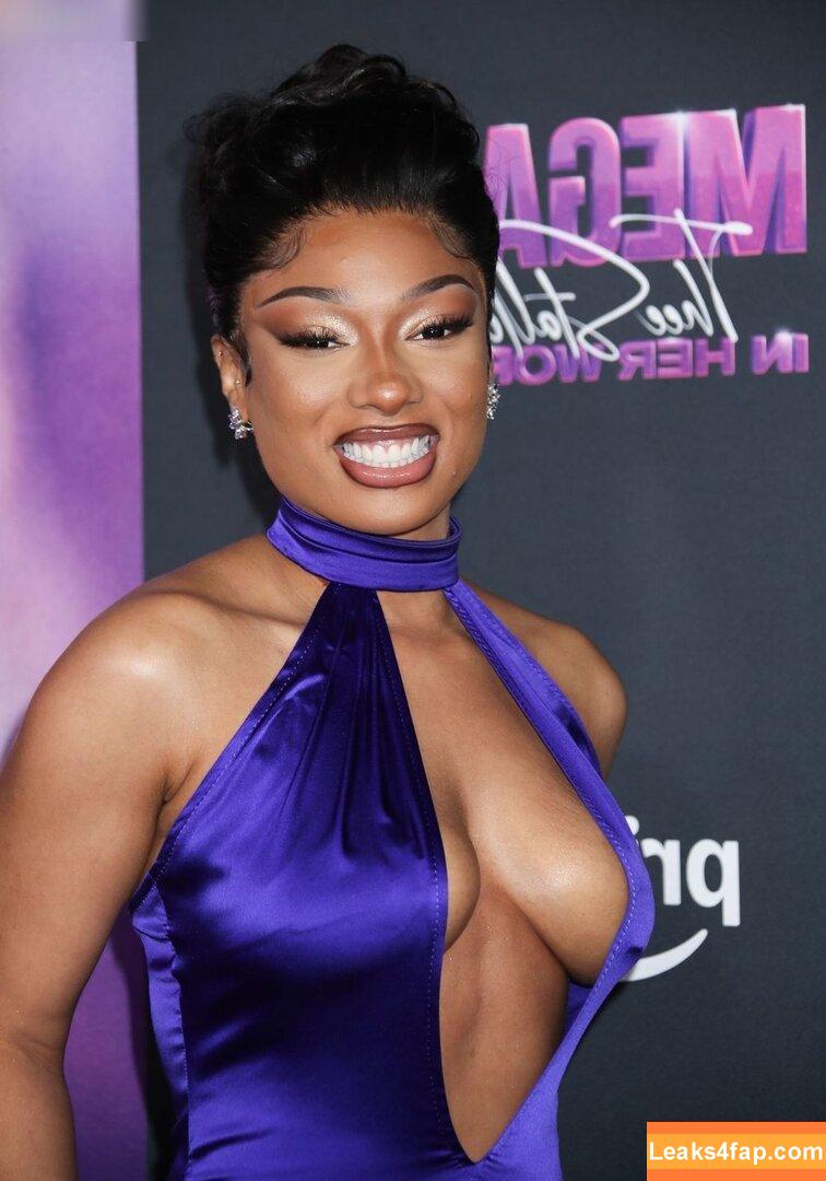 Megan thee stallion / megan_renee316 / theestallion leaked photo photo #0407