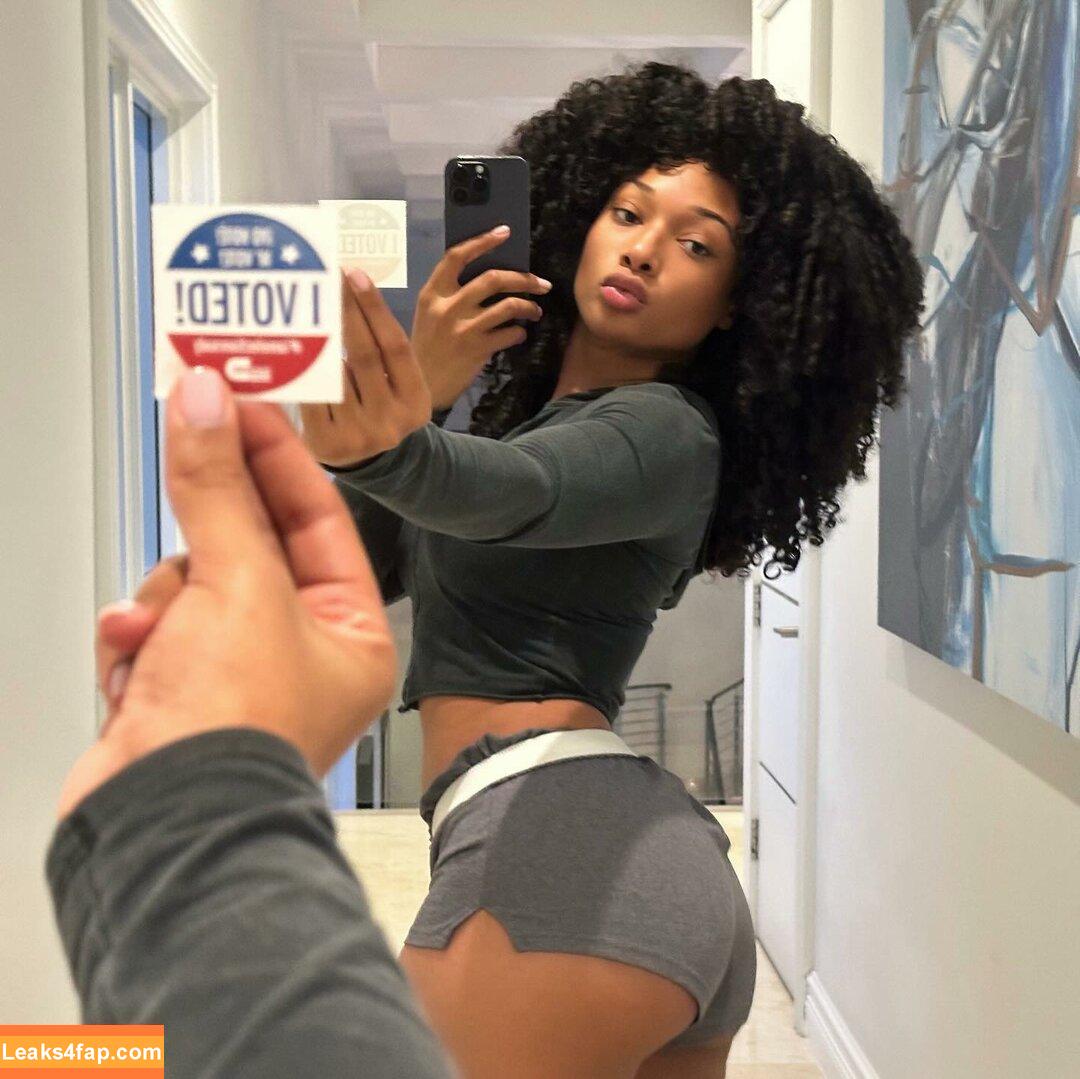 Megan thee stallion / megan_renee316 / theestallion leaked photo photo #0470