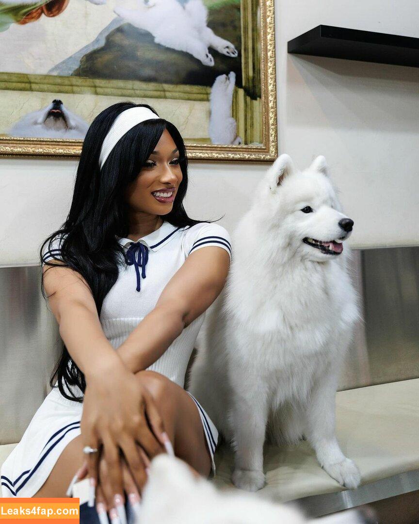 Megan thee stallion / megan_renee316 / theestallion слитое фото фото #0479
