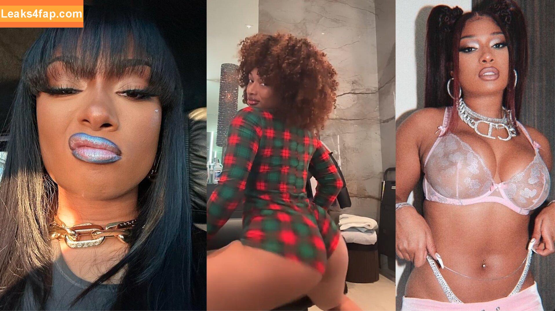 Megan thee stallion / megan_renee316 / theestallion слитое фото фото #0487
