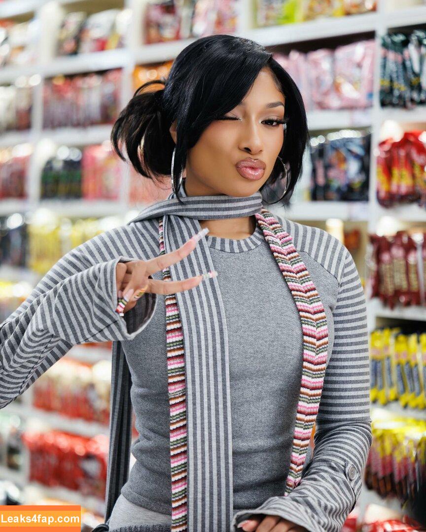 Megan thee stallion / megan_renee316 / theestallion слитое фото фото #0494