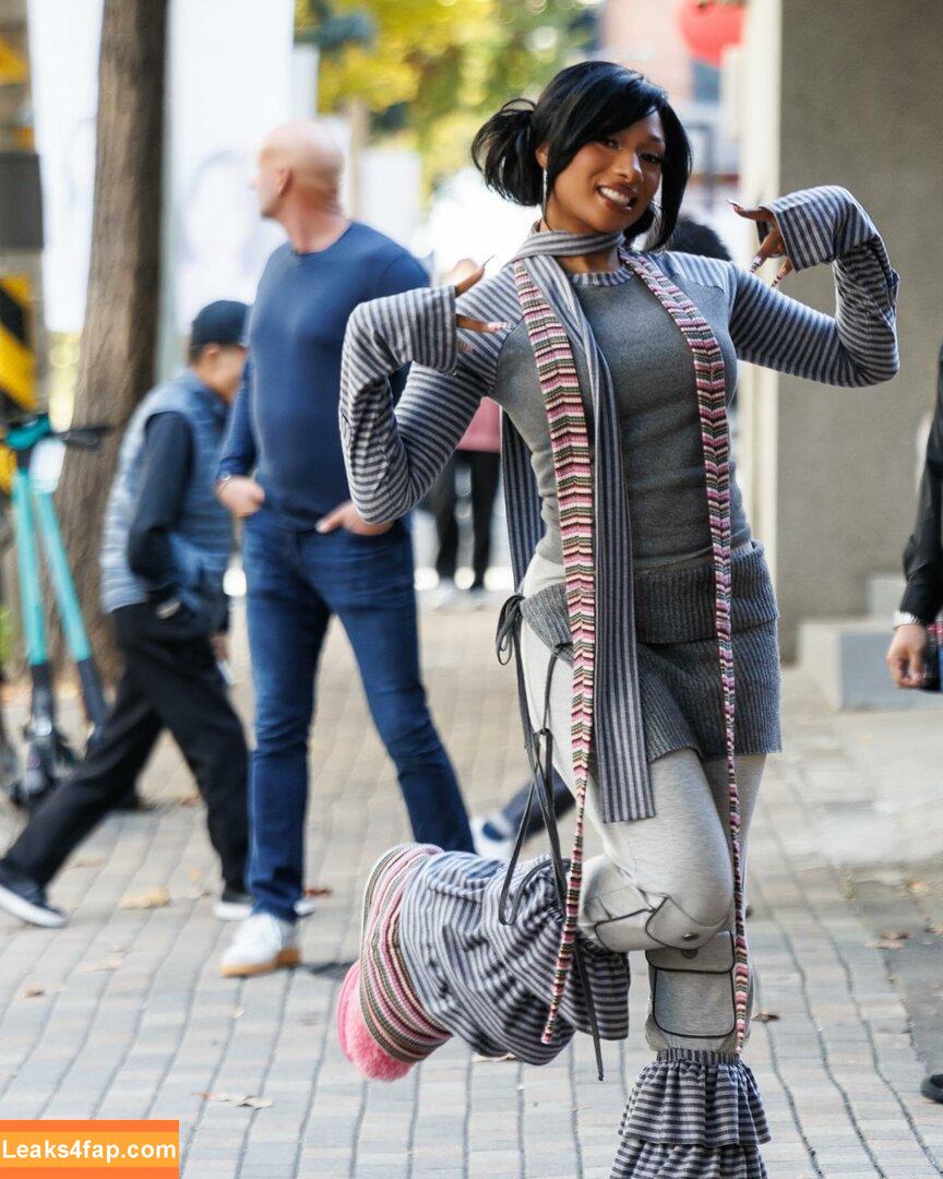 Megan thee stallion / megan_renee316 / theestallion leaked photo photo #0496