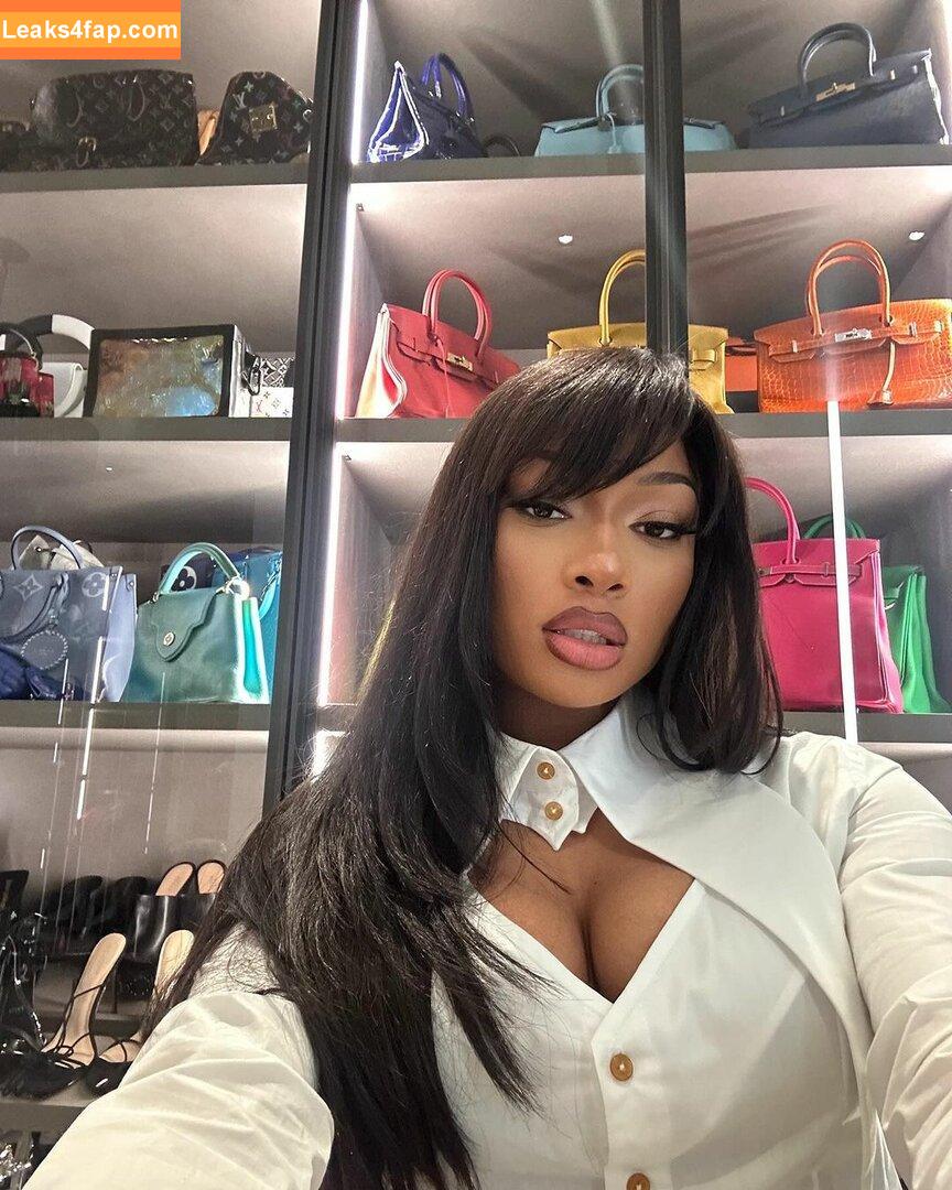 Megan thee stallion / megan_renee316 / theestallion слитое фото фото #0504