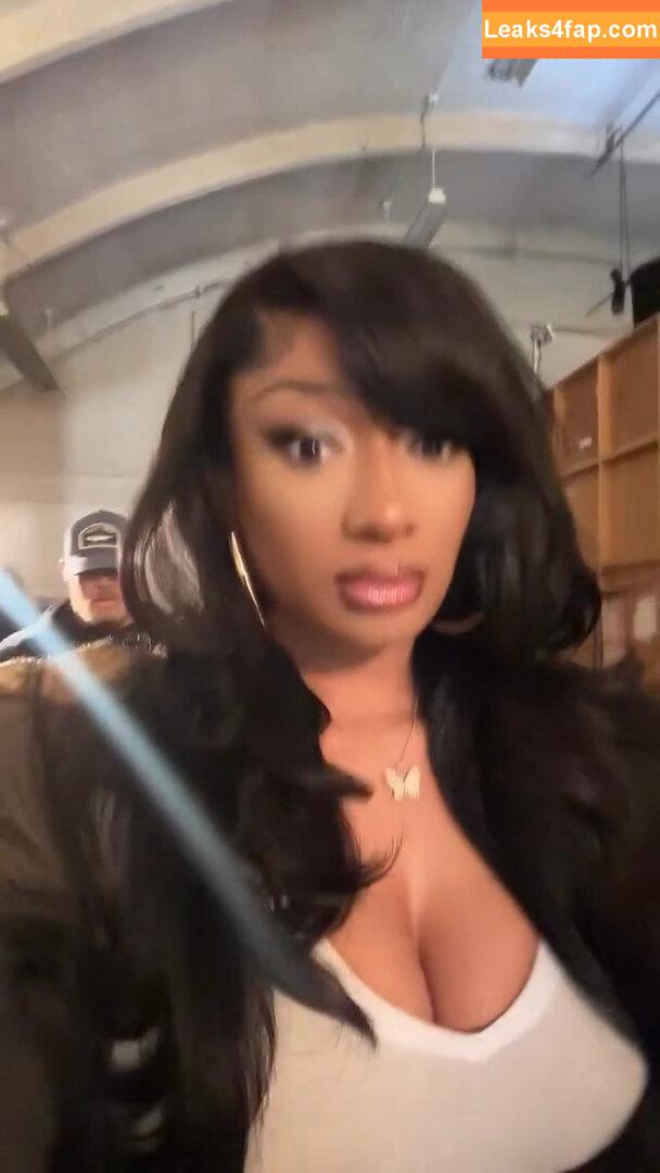 Megan thee stallion / megan_renee316 / theestallion слитое фото фото #0513