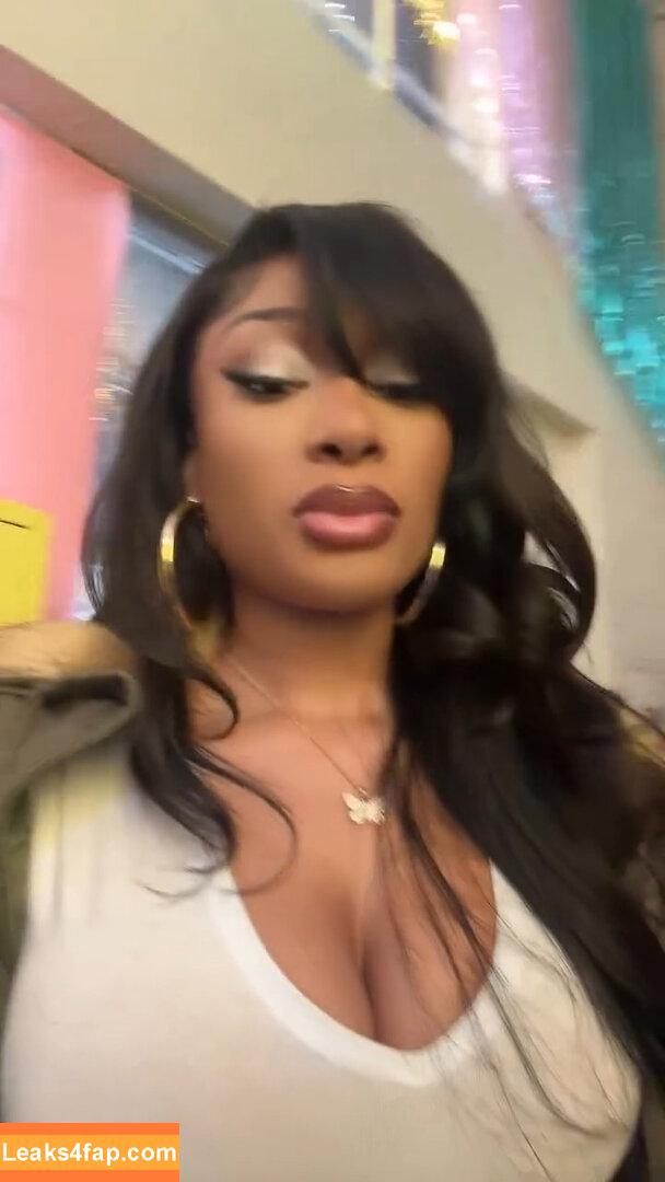 Megan thee stallion / megan_renee316 / theestallion leaked photo photo #0514