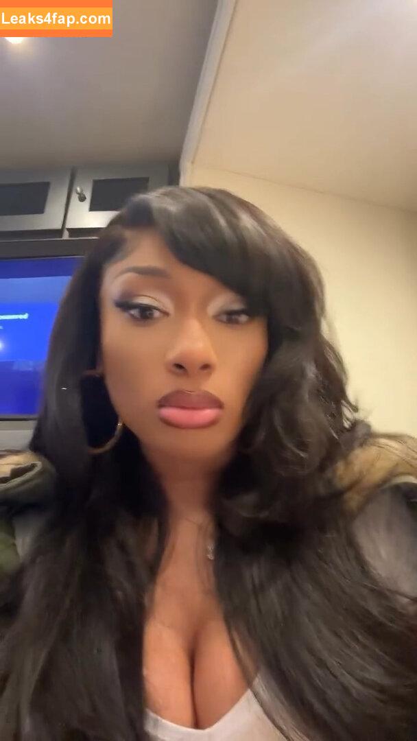 Megan thee stallion / megan_renee316 / theestallion слитое фото фото #0519