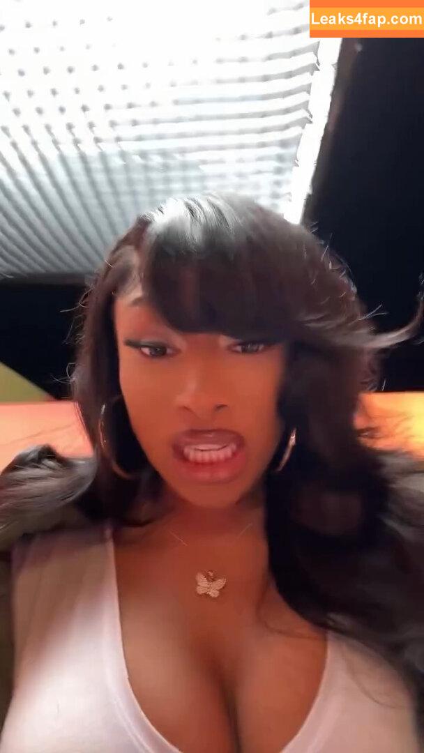 Megan thee stallion / megan_renee316 / theestallion слитое фото фото #0521