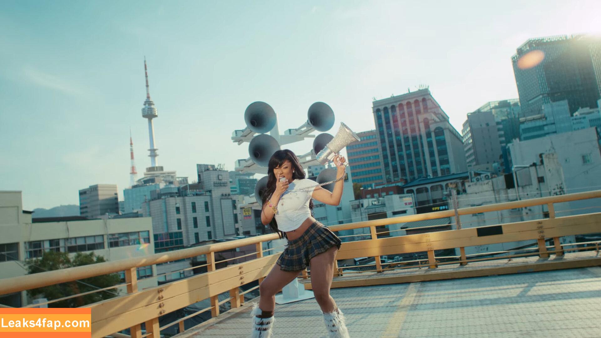Megan thee stallion / megan_renee316 / theestallion leaked photo photo #0529