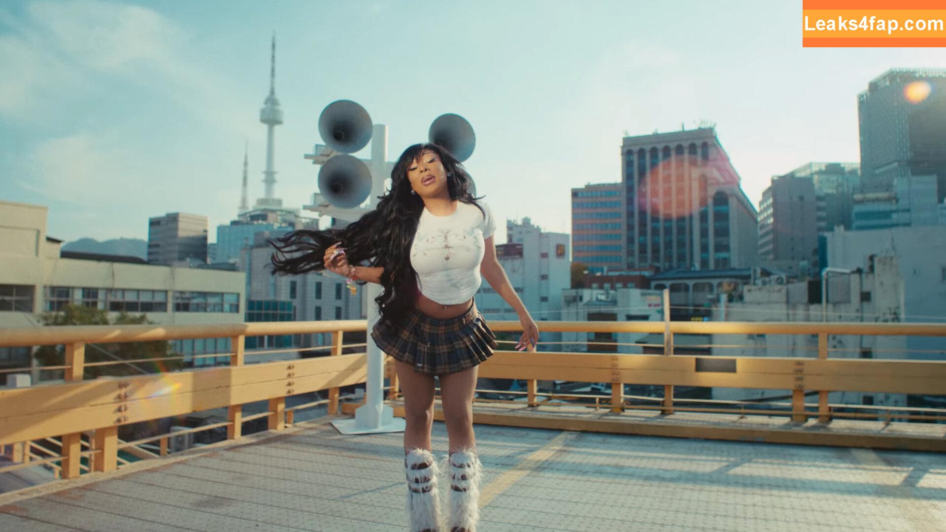 Megan thee stallion / megan_renee316 / theestallion leaked photo photo #0531