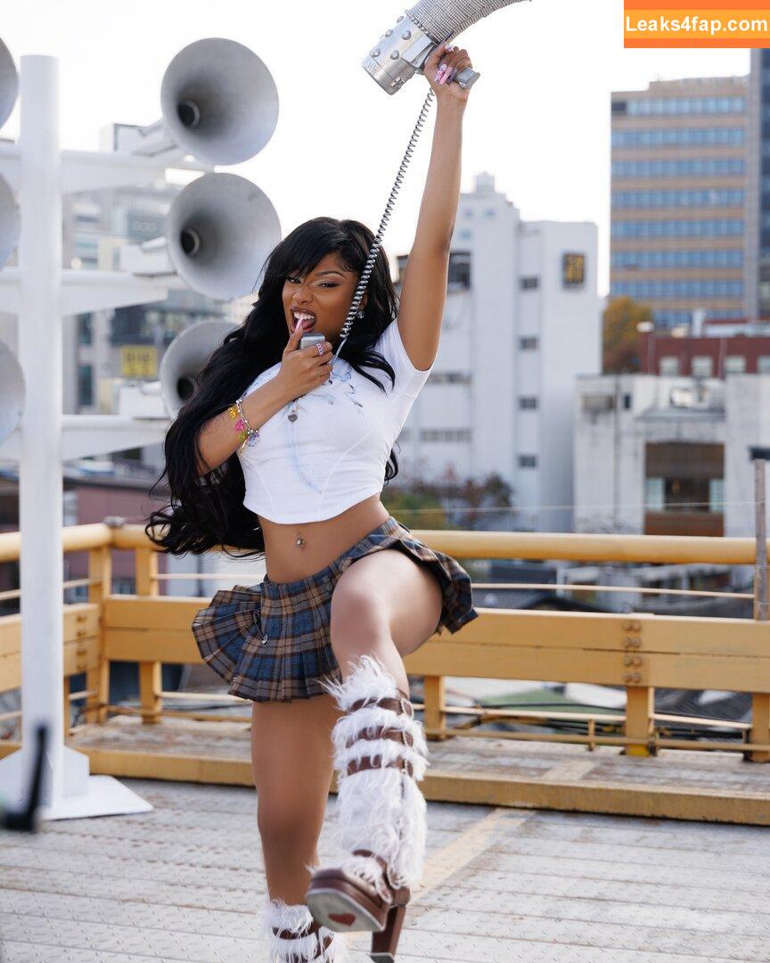 Megan thee stallion / megan_renee316 / theestallion leaked photo photo #0553