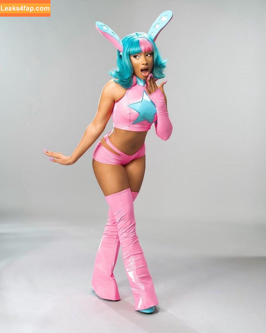 Megan thee stallion / megan_renee316 / theestallion leaked photo photo #0562