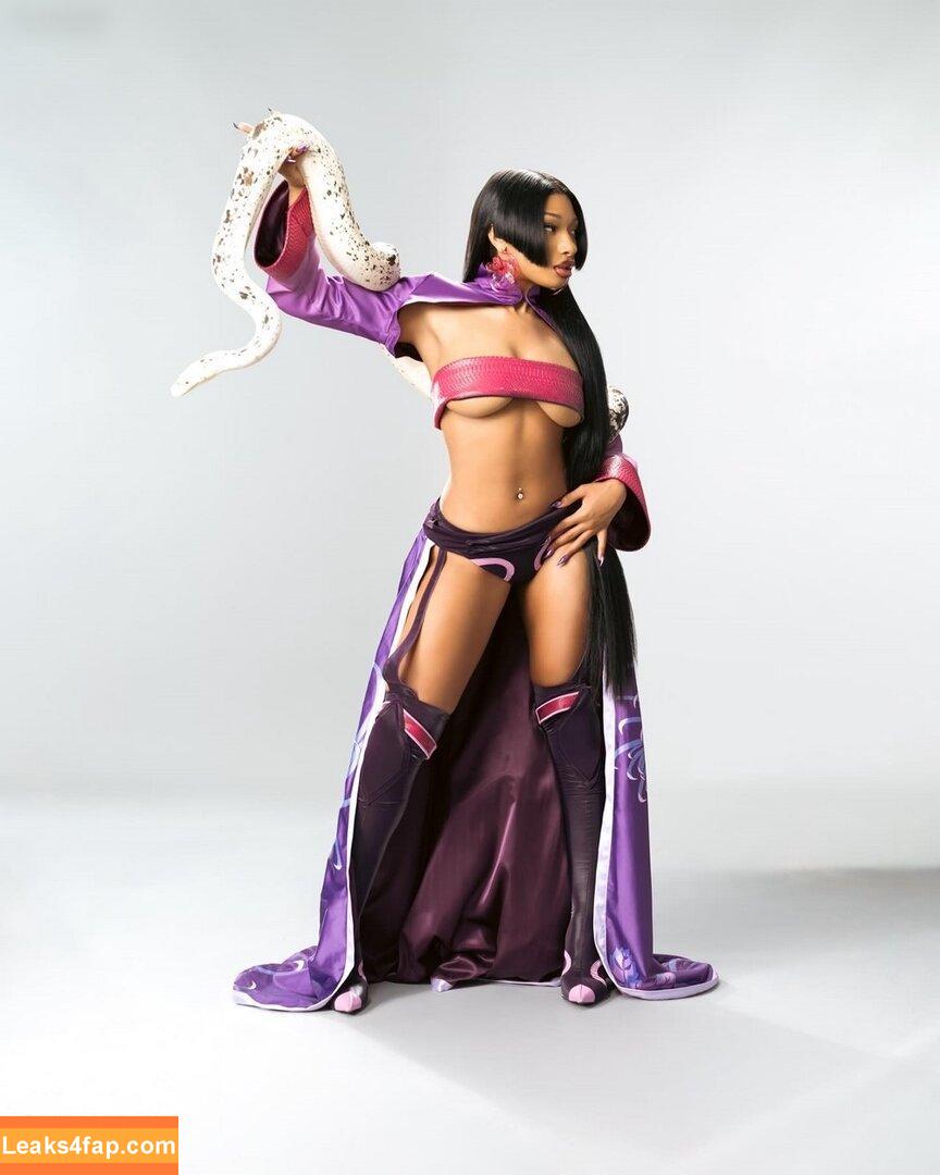 Megan thee stallion / megan_renee316 / theestallion leaked photo photo #0565