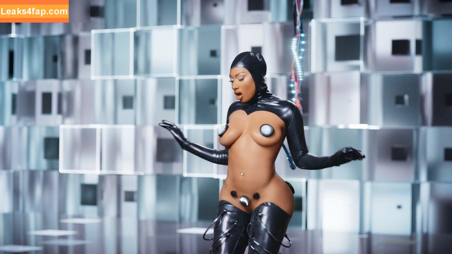 Megan thee stallion / megan_renee316 / theestallion leaked photo photo #0567