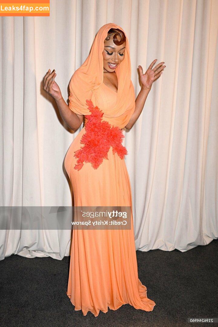Megan thee stallion / megan_renee316 / theestallion leaked photo photo #0581