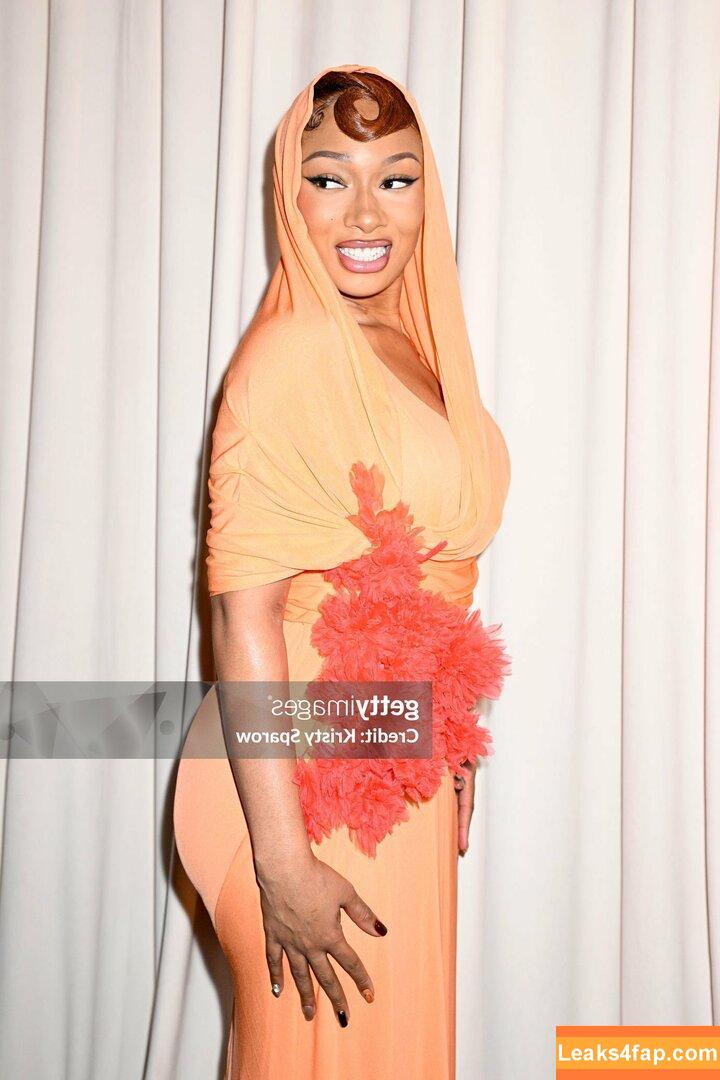 Megan thee stallion / megan_renee316 / theestallion leaked photo photo #0584