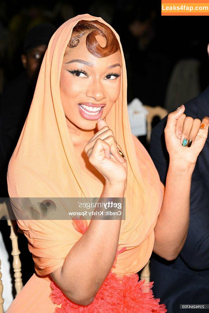 Megan thee stallion / megan_renee316 / theestallion leaked photo photo #0588
