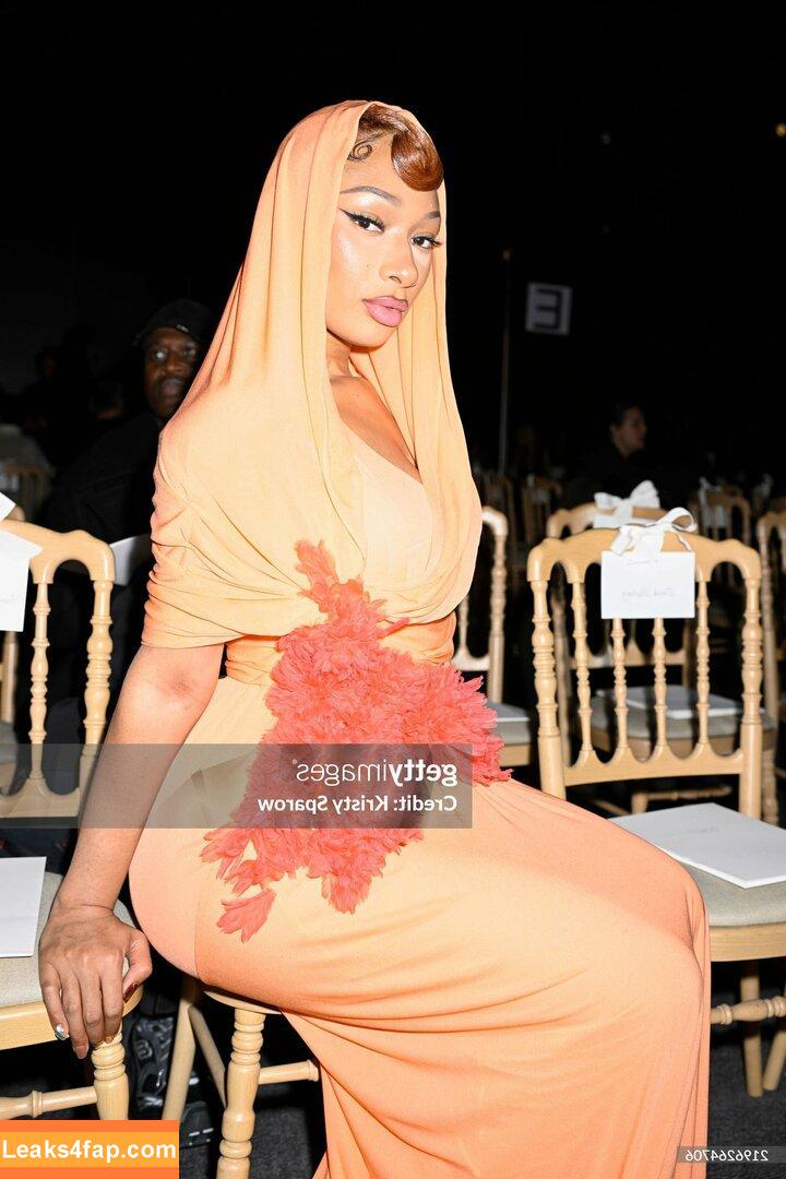 Megan thee stallion / megan_renee316 / theestallion leaked photo photo #0589