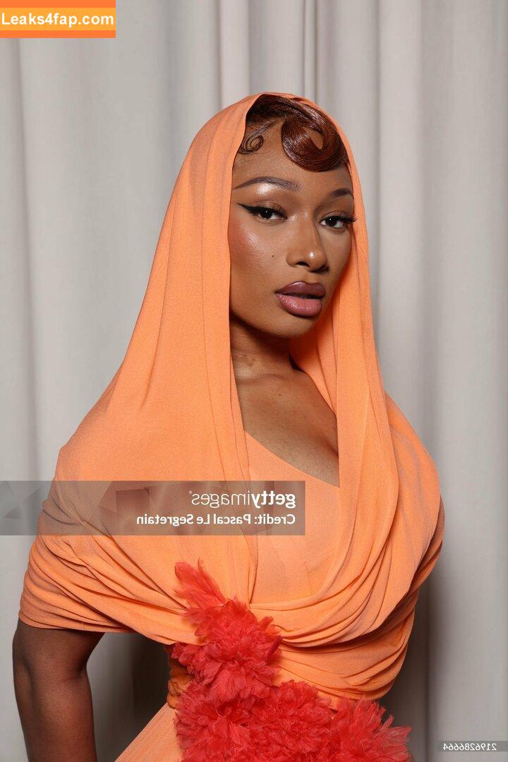 Megan thee stallion / megan_renee316 / theestallion leaked photo photo #0593