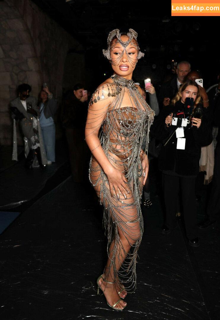 Megan thee stallion / megan_renee316 / theestallion leaked photo photo #0597