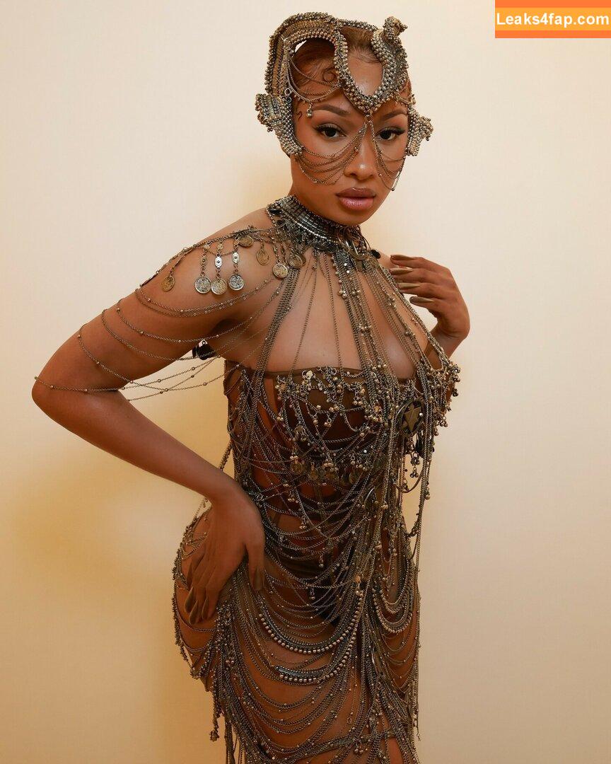 Megan thee stallion / megan_renee316 / theestallion leaked photo photo #0607