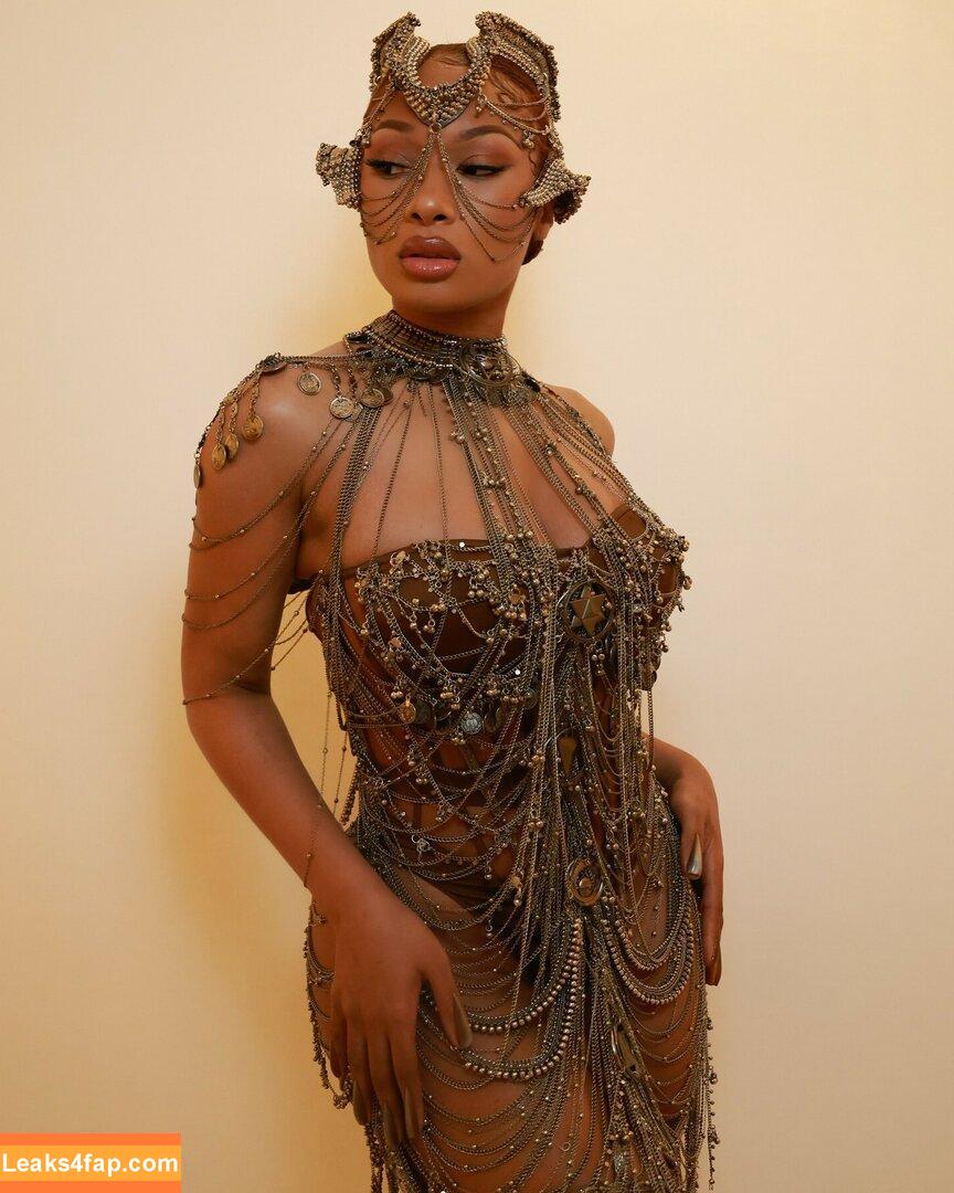 Megan thee stallion / megan_renee316 / theestallion leaked photo photo #0608