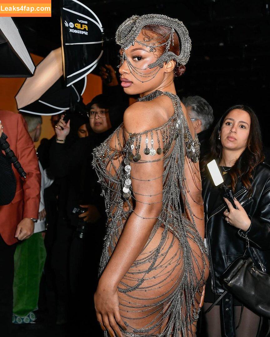 Megan thee stallion / megan_renee316 / theestallion leaked photo photo #0624