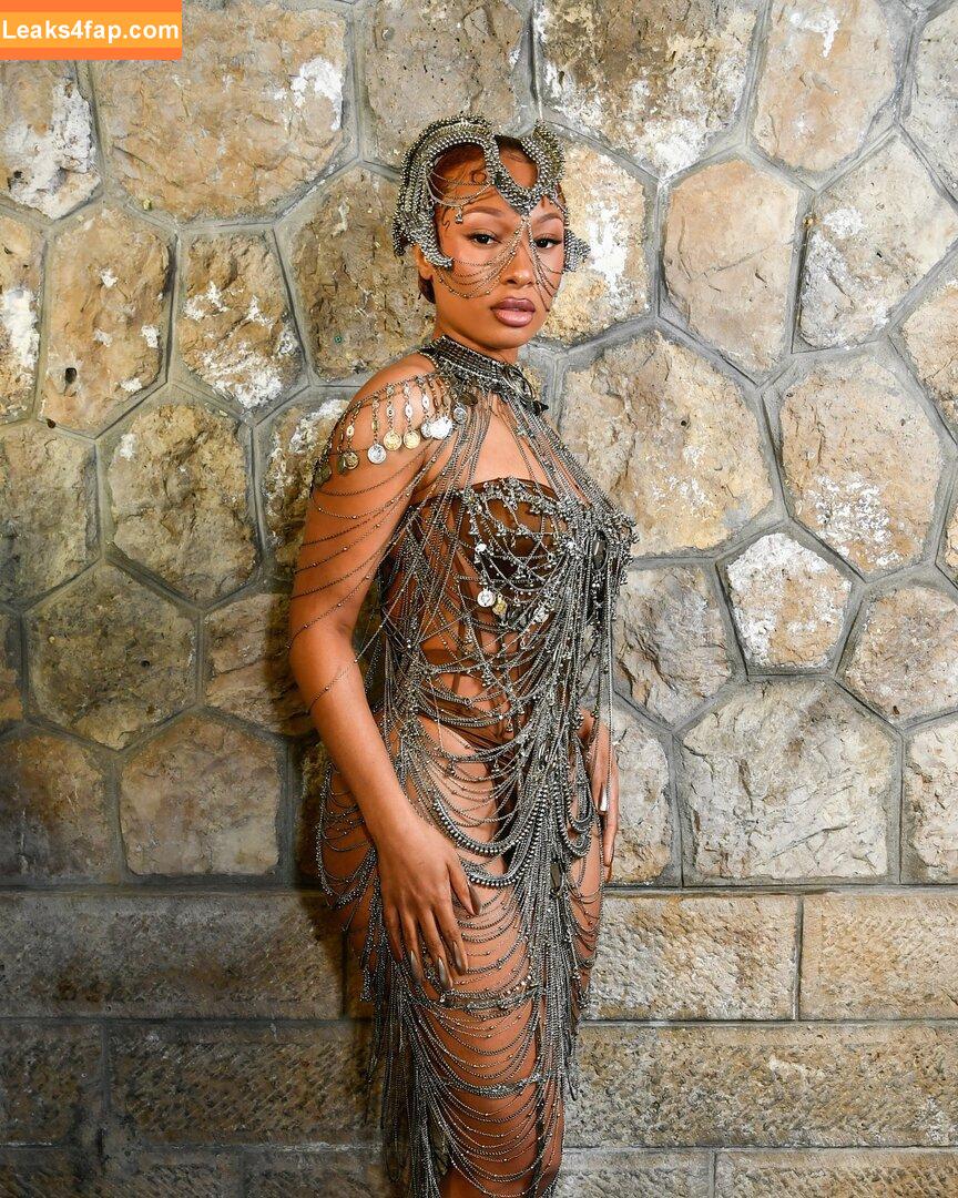 Megan thee stallion / megan_renee316 / theestallion leaked photo photo #0625