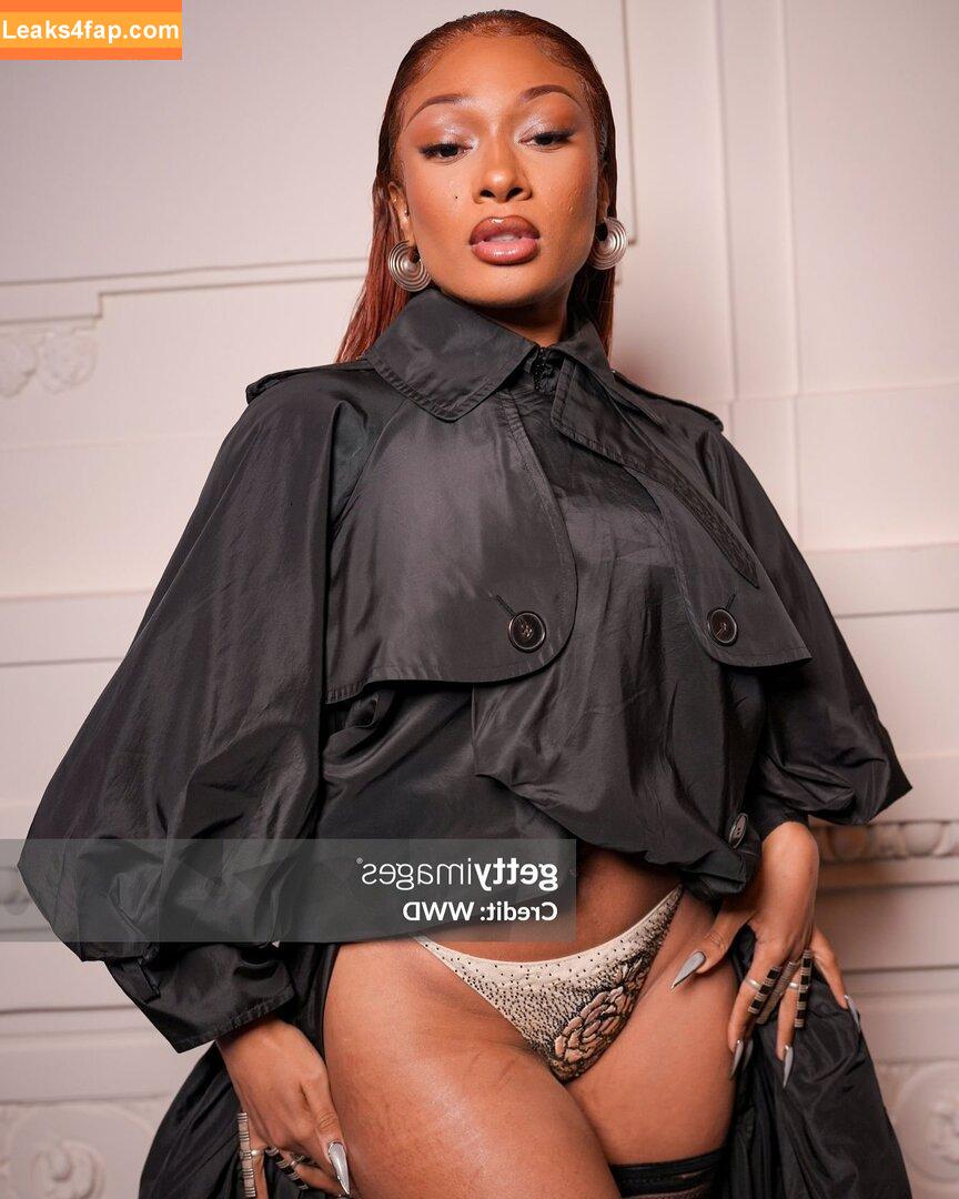 Megan thee stallion / megan_renee316 / theestallion leaked photo photo #0631