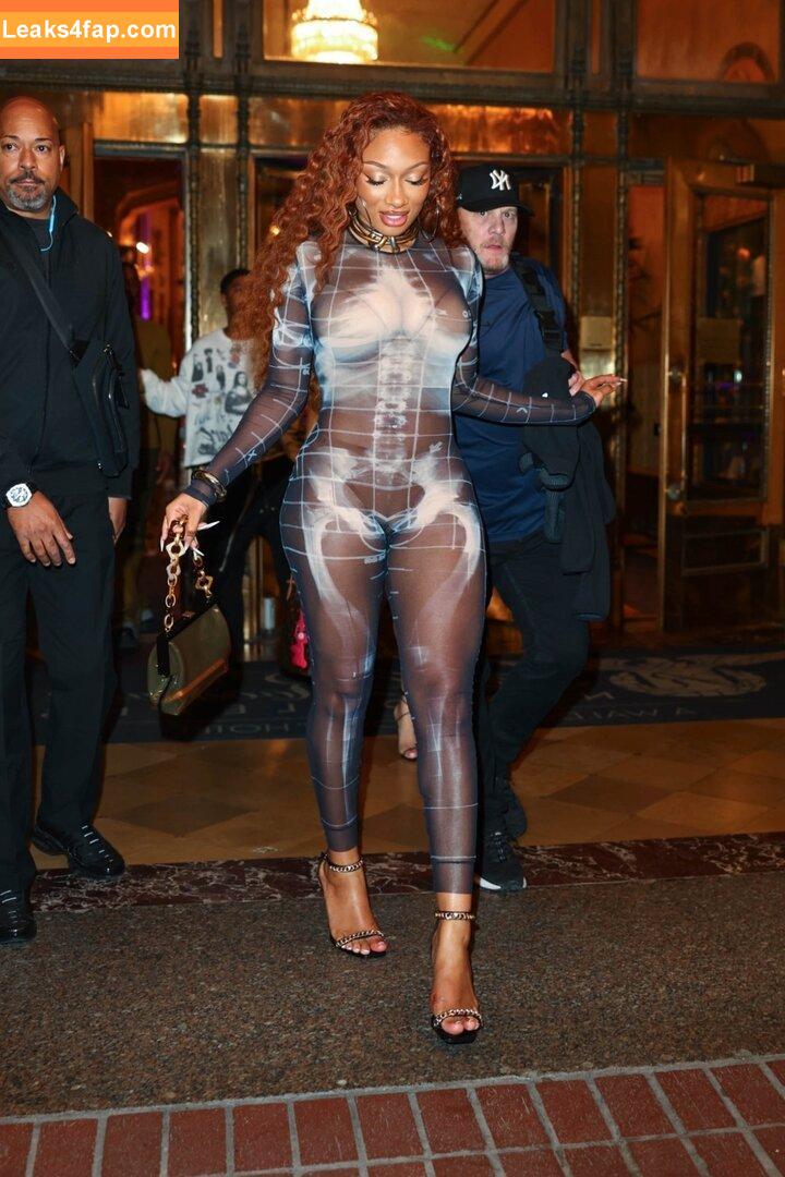 Megan thee stallion / megan_renee316 / theestallion leaked photo photo #0638