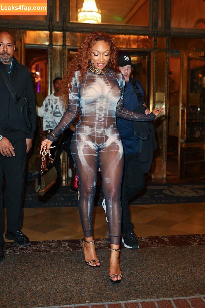 Megan thee stallion / megan_renee316 / theestallion leaked photo photo #0639